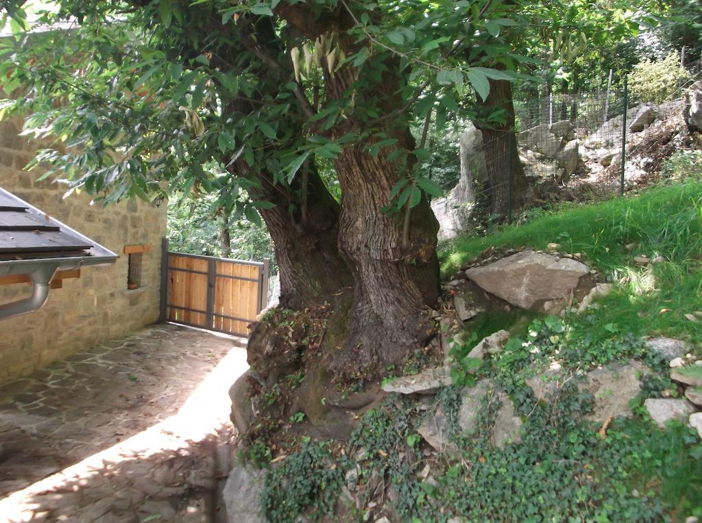 Agriturismo Ai Ronchi Sorico Eksteriør billede